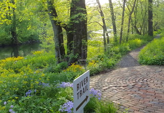 Wildflower & Native Plant Gardens
