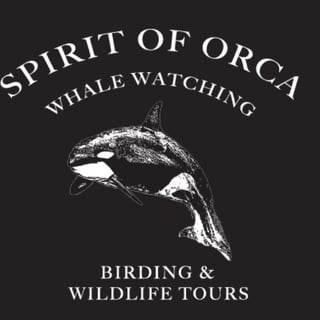 Spirit of Orca Whale Watching & Wildlife Tours