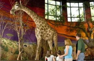 Oakes Museum of Natural History