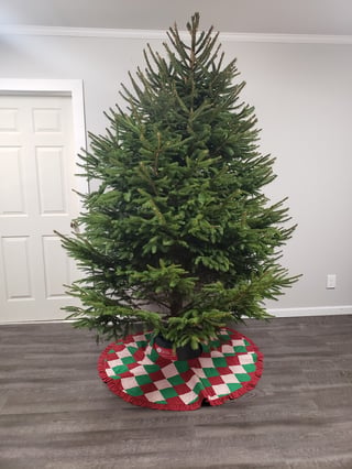 Buttenschon Christmas Tree Farm