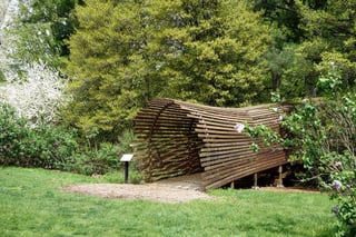 Tyler Arboretum