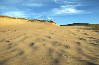 Art's Dune Tours