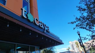 Tocaya Modern Mexican