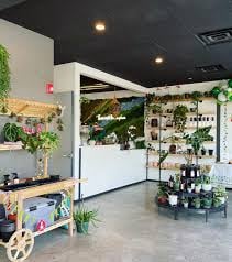 The Potting Bench