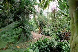 Birmingham Botanical Gardens
