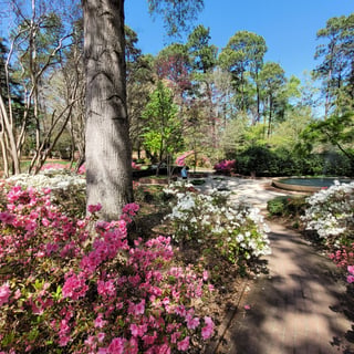 Glencairn Gardens