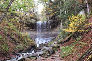 Labrador Hollow Unique Area