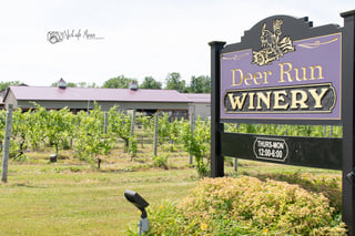 Deer Run Winery