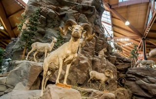 Bass Pro Shops