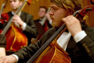 American Suzuki Institute