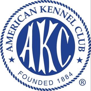 AKC Fast CAT Invitational 