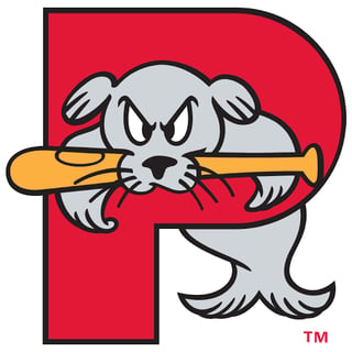 Portland Sea Dogs Women in Sports Night