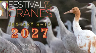 2026 Festival of the Cranes