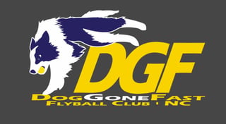 The DogGoneFast Flyball Club Tournament