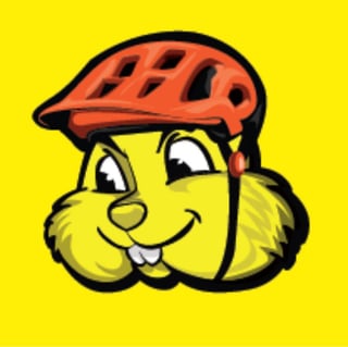Little Hammies - Bike Races for Kids