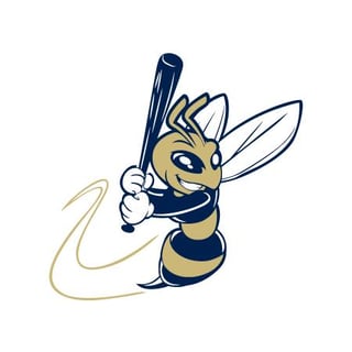 Sting Baseball Tournament