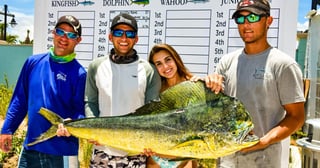 Big Dog Fat Cat KDW Shootout