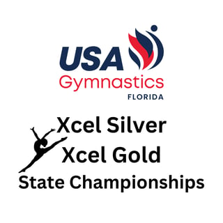 USA Gymnastics Xcel Silver and Gold Florida State Championships