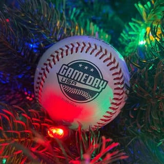 Game Day USA - MI Open State Championships (Summer)