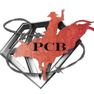 Professional Championship Bull Riders
