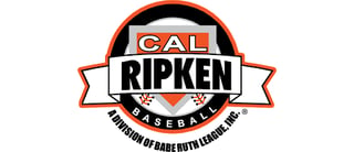 Cal Ripken 8U Pennsylvania Northwest Baseball State Championship