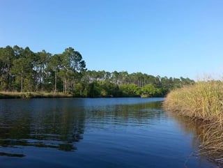 Lake Miccosukee