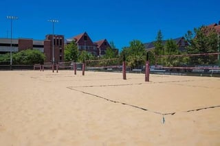 FSU Beach Volleyball