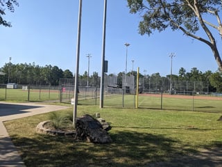 J. Lewis Hall Sr. Woodville Park