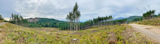 Walker Valley Off Road Vehicle Trails 