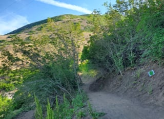 The Farm MTB Park