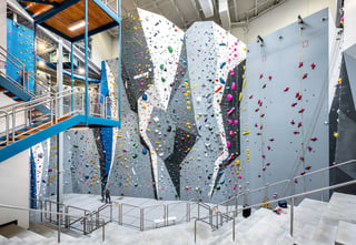 Vertical View