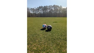 Arnette Park