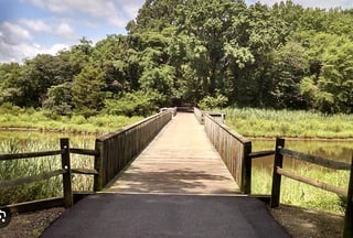 Cross Island Trail