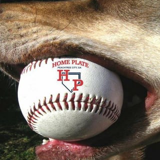  Home Plate Baseball Softball & Performance Training