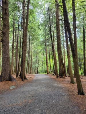 Wooddell Park