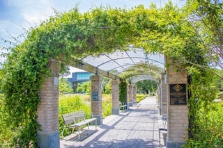 Independence Park
