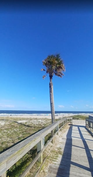 Main Beach Park