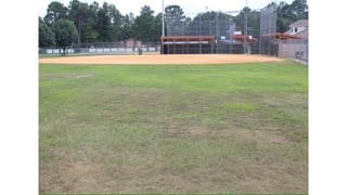 Brower Park