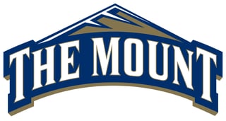 Mount St. Mary's University