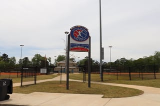 Vine Ingle - Freedom Park
