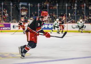 Grand Rapids Griffins