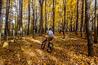 Anderson Park Mountain Bike Trail