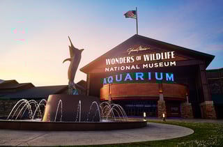 Wonders Of Wildlife National Museum & Aquarium