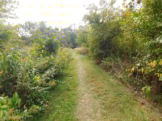 Kelley Nature Preserve