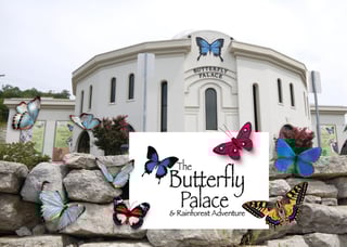 The Butterfly Palace & Rainforest Adventure