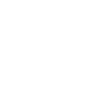 UAA Boys Basketball Final