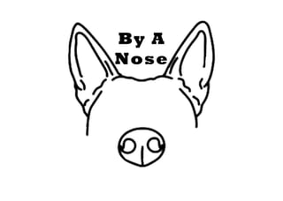 By a Nose Nosework (NACSW)