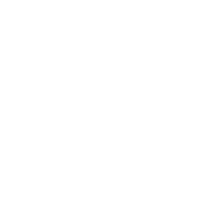 IBJJF Chicago Summer International Open