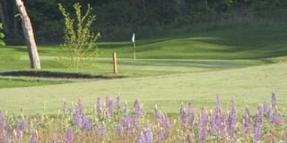 2025 The Standard Portland Classic LPGA Tournament