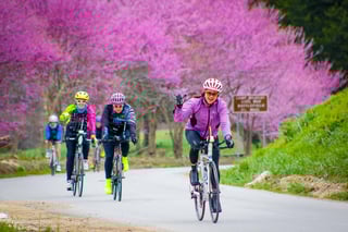 Redbud Ride